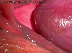 amateur's smooth pink folds peek 347 days post virginity loss