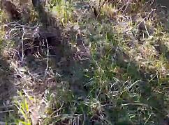 Sexy amateur struts in high heels through forest pantyhose teasing big ass outdoors