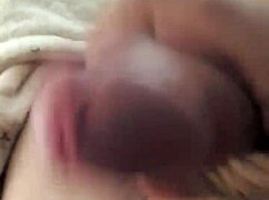 hey vergin guadalajara ladyboy you want my big cock massage and titty fuck pov?