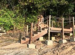 beach adventure turns into wild public pussy licking humiliation