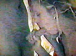 skariann sucks my cock like a pro in pov