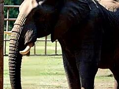 Genesis Day 3 Original Sin Part 1 AI Illustrated Leather Boots Skirt Teasing Big Tits Masturbation