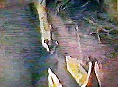 skariann sucks my cock like a pro in pov