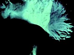 back in the day, hairy vintage lesbians get into bisexual group pussy play