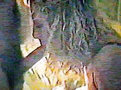 skariann sucks my cock like a pro in pov