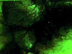 Wife's pussy floods with juices during intense pounding session