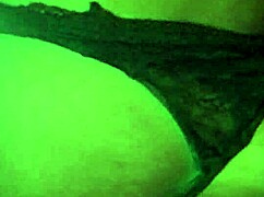 Pago Por Mamada En Coche Con Big Ass Chica Tragando Leche