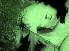 vintage dark lantern reveals english gentleman's secret 19th century diaries