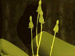 lost in vintage erotic art where hairy beauties explore antique pleasures slowly