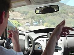 you want shemales sucking your cocks bareback after car wash in garage?