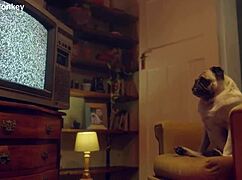 wanna watch candee licious and lili charmelle toy lick in threesome?