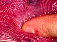 Horny Shaved Slut Begs for Hardcore Breeding Cum