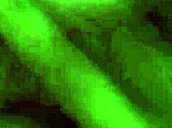 Exotic coeds Jackie and Trinity tease tits then share hard cock deepthroat style