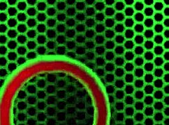 Penny Pax, ride that French baguette with your big tits!