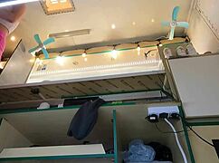 hidden cam catches hot 18 yo brunette slut upskirt pussy at work