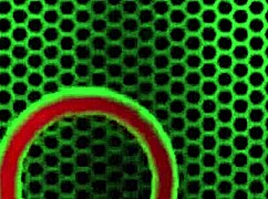 ember reigns sloppy bjs miles long's cock till handjob cumshot 💦🍆