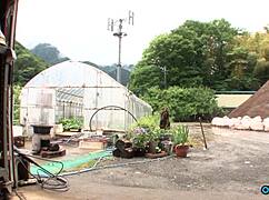 damn, she's out in the greenhouse jamming that cucumber deep in her hairy pussy, loving every thrust