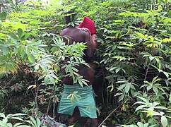 Farmers in Nigeria Africa Get Wild in Hidden Fields