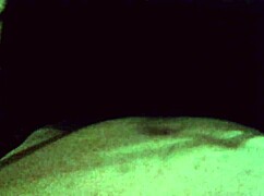 le enseño a mamar la verga como puta profesional