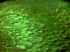 Chloe Delaure gulps tons of cocks outdoors