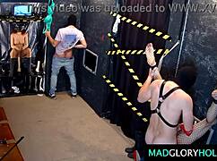 amateur milf dances strips then sucks gangbang cocks glory hole club toys