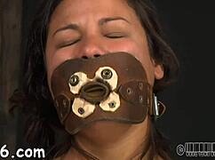 Sadomasochism competition tests bound sluts' cock-sucking limits