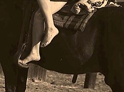 Vintage hairy pussy bent over doggystyle outdoors