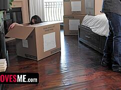 College bound stepbro surprises virgin stepsis with dildo play and facial cumshot