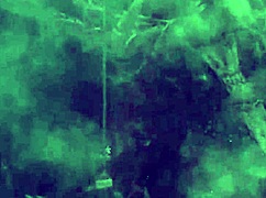 Heart-pounding thrills chase through Monster Hunter World 9