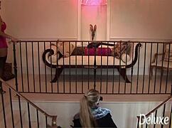 carmella bing and busty milf buddy deepthroat cocks in wild ffmm group fuck