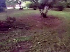 wolfdaddy901 you creampie my ass bareback in this public park right now