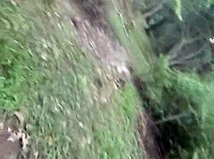 wolfdaddy901 you creampie my ass bareback in this public park right now