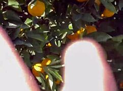 excited to share my first sfw pornlog free version