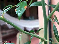 omg me and bestie kissing huge tits while sharing boyfriend's throbbing cock