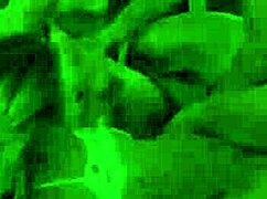 oh man, these cute petite 18+ stepsis chloe temple and kyler quinn cum hard on stepdad danny's big cock