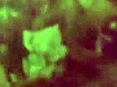 Ever wonder what three swallows mean in this kinky tarot lesbian lick?