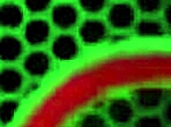 Maxine X stretches holes with huge toys squirting blowjob