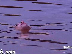 she's this tossed up hottie getting punished hard in the garage with sloppy cock sucking