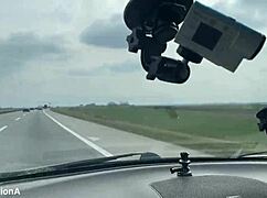 maya bee and aurora, you girls squirting and farting all over my car seats?