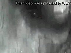 Vintage Granny Fanny Sucks Cock in Secret Retro Blowjob Session