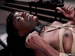 Gimp Slave Pounds Bound Ebony Trainee Hard