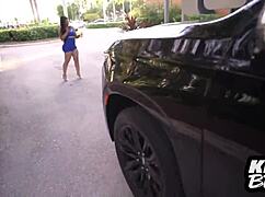 escalade escapade uncovers hidden curves and smooth rides in florida