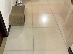 my stepsis shakes huge tits begging cum in her wet pussy pov 😈