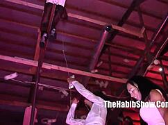 i love watching sexy misty stone strip and get clothes ripped off