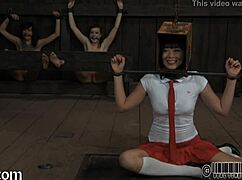 four petite angels cram into tiny tight cage together