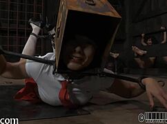 four petite angels cram into tiny tight cage together