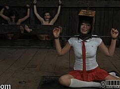 four petite angels cram into tiny tight cage together