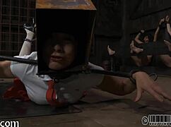 four petite angels cram into tiny tight cage together