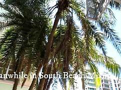 yo check out this wild 18yo interracial threesome with latina and tiny filipina at miami airbnb bts