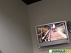 Curvy cheating wife Alura Jenson bends for anonymous big black cock doggystyle tit bounce